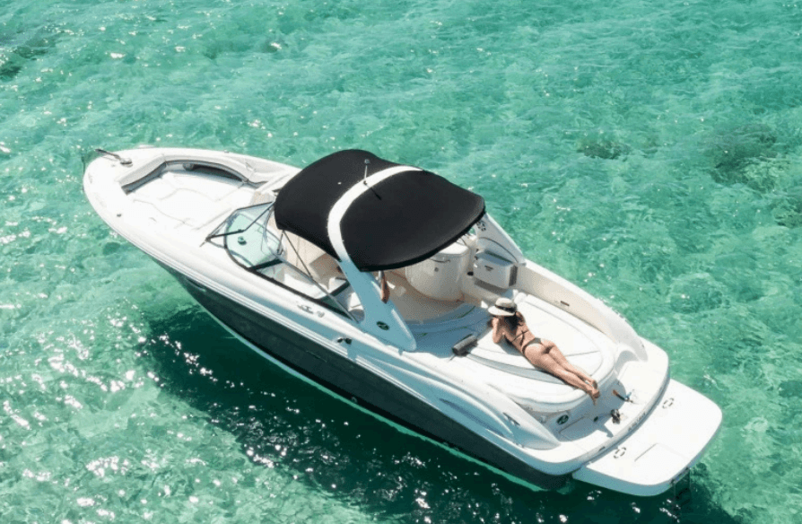 CISNE — 30-39ft luxury yacht charter in Ibiza